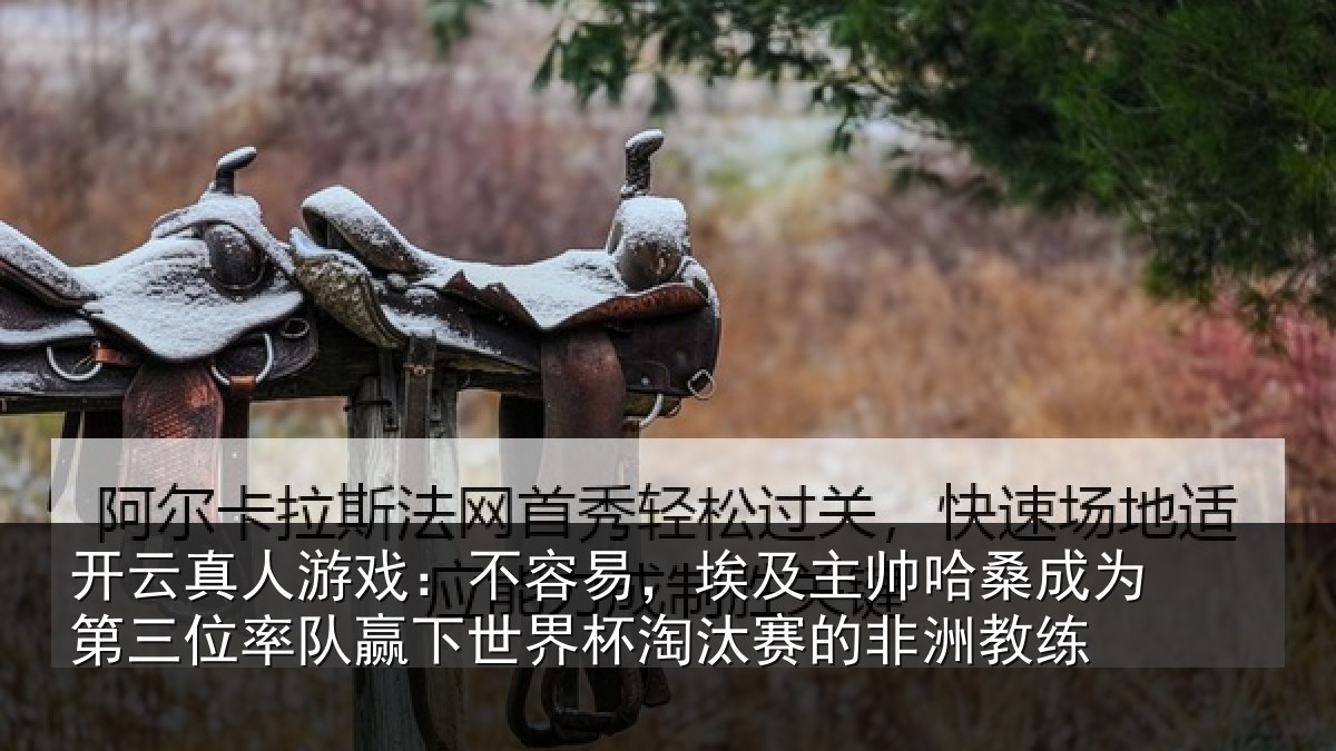 开云真人游戏：不容易，埃及主帅相关情况队赢相关情况非洲教练