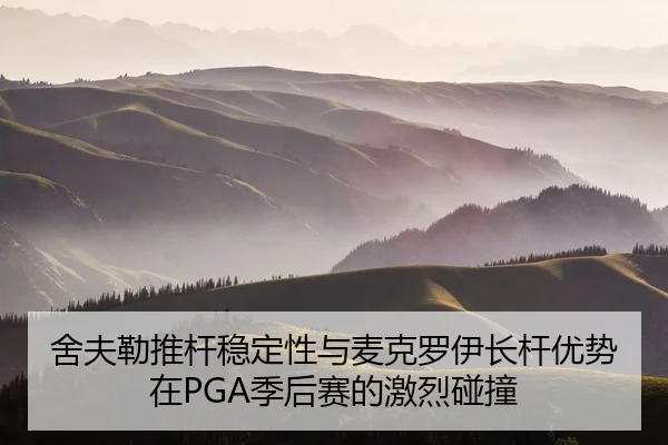 舍夫勒推杆稳定性与麦克罗伊长杆优势在PGA季后赛的激烈碰撞