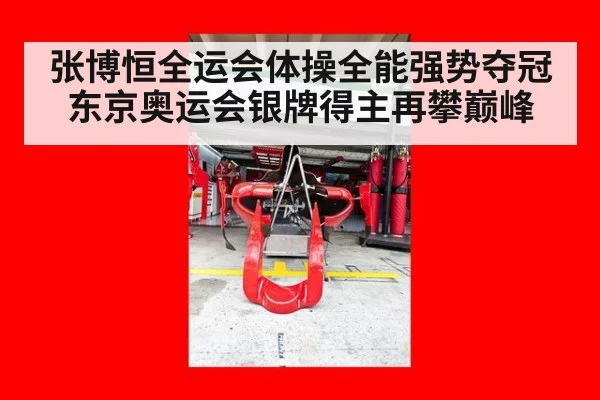 张博恒全运会体操全能强势夺冠 东京奥运会银牌得主再攀巅峰